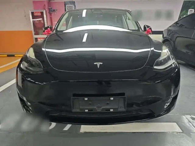 Tesla Model Y — Фото автомобиля 2