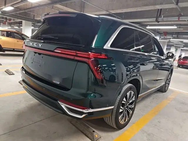 Wey Lanshan — Фото автомобиля 6