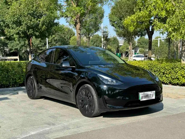 Tesla Model Y — Фото автомобиля 3