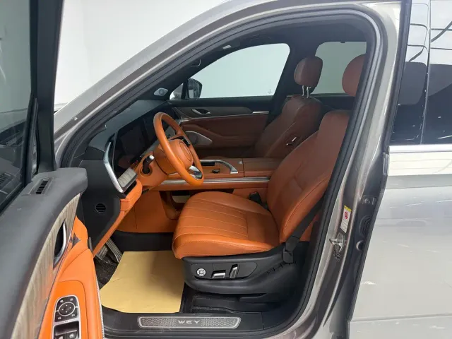 Wey Lanshan — Фото автомобиля 17