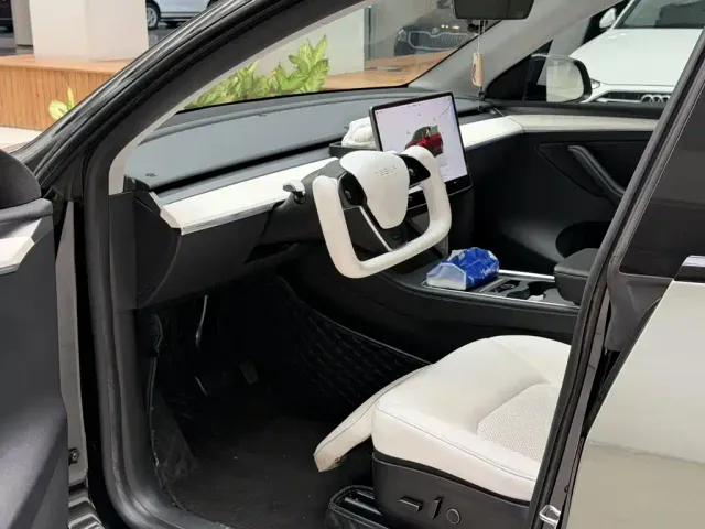 Tesla Model Y — Фото автомобиля 4