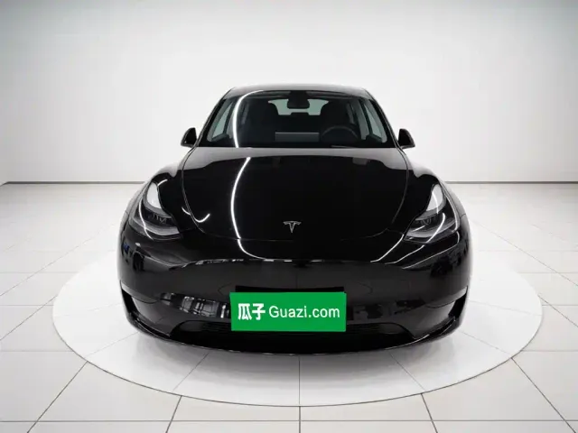 Tesla Model Y — Фото автомобиля 2