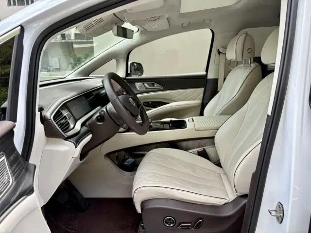 Denza Denza D9 2024 DM-i 980 AWD Prestige — Фото автомобиля 4