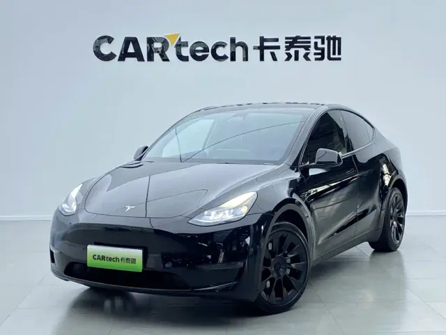 Tesla Model Y — Фото автомобиля 11
