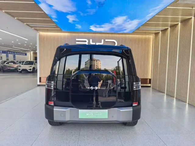 BYD FangChengBao Titanium 7 — Фото автомобиля 15