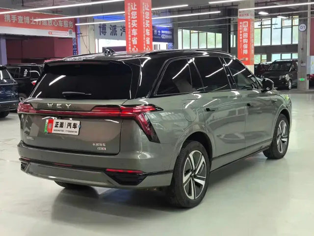Wey Lanshan — Фото автомобиля 5