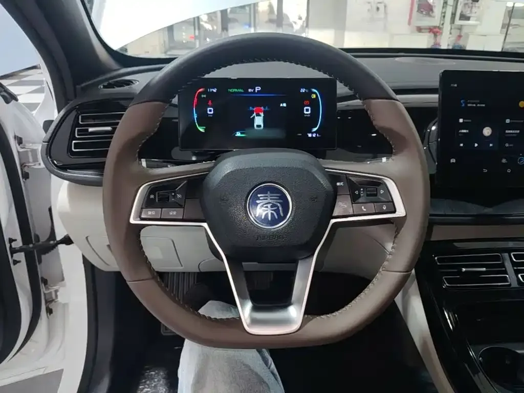 BYD Qin PLUS 2024 Glory Edition DM-i 55KM Leading — Фото автомобиля 10
