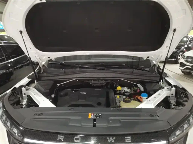 Roewe RX5 eMAX — Фото автомобиля 19