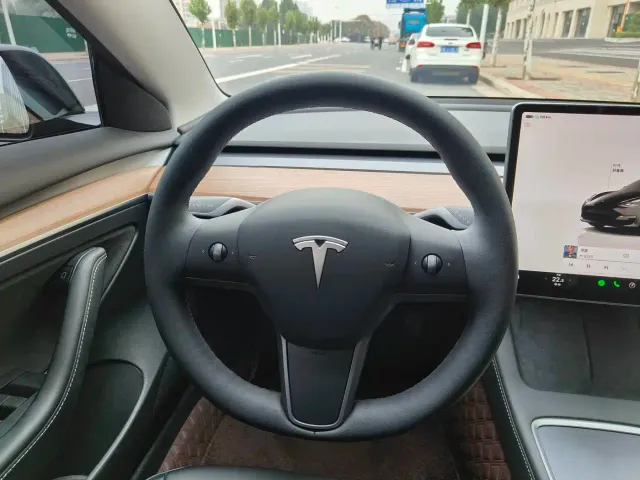 Tesla Model 3 — Фото автомобиля 9