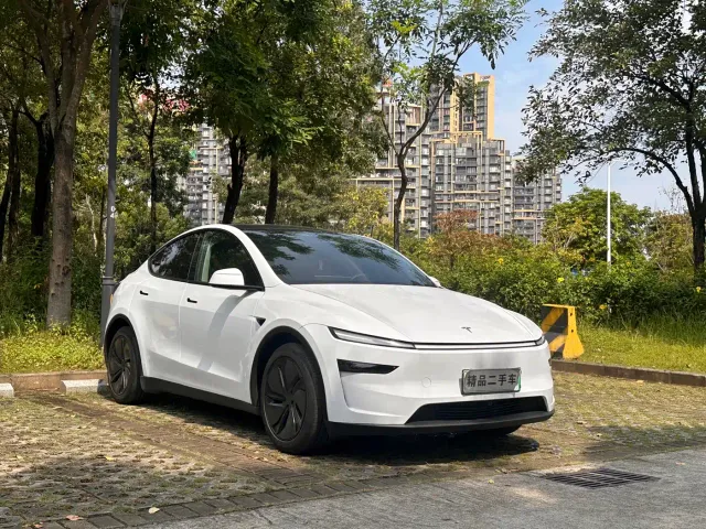 Tesla Model Y — Фото автомобиля 3
