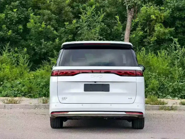 BYD M9 — Фото автомобиля 5