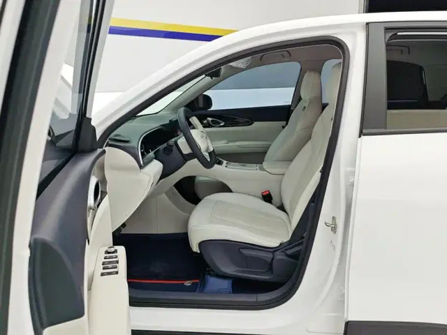 Geely Starry Wish — Фото автомобиля 9