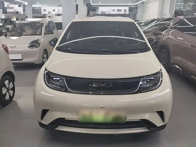 BYD Dolphin — Фото автомобиля 2