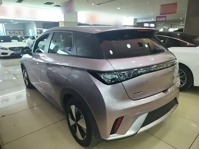 BYD Dolphin — Фото автомобиля 4