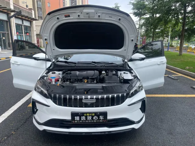 Geely Binrui — Фото автомобиля 18