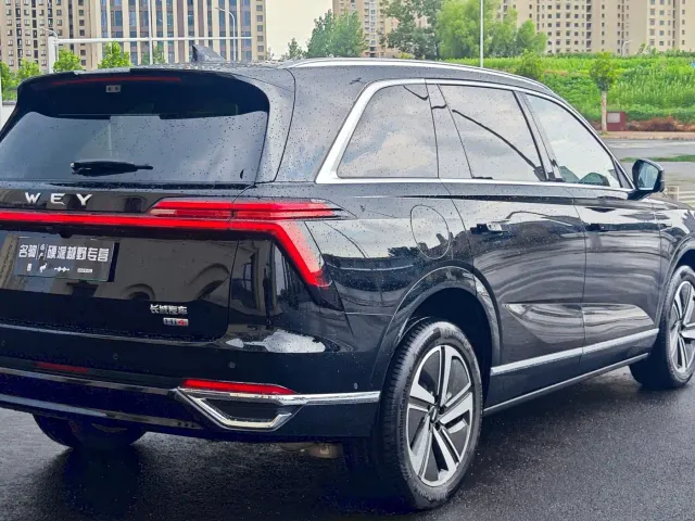 Wey Lanshan — Фото автомобиля 9