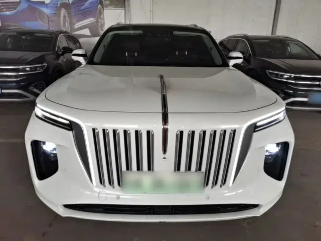 Hongqi E-HS9 — Фото автомобиля 2