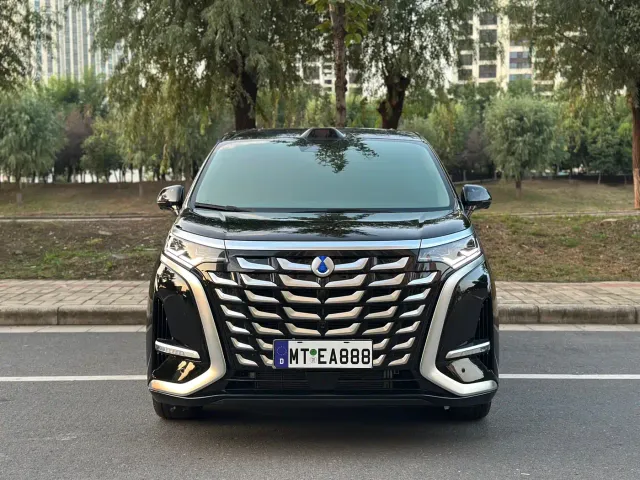 Denza D9 — Фото автомобиля 2