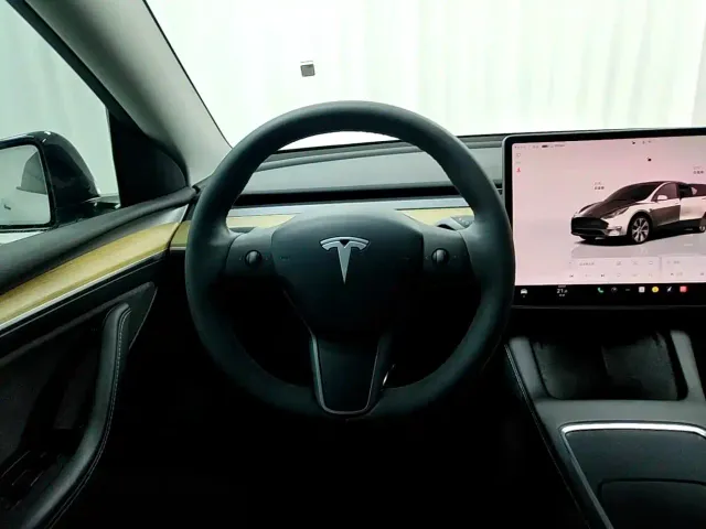 Tesla Model Y — Фото автомобиля 10