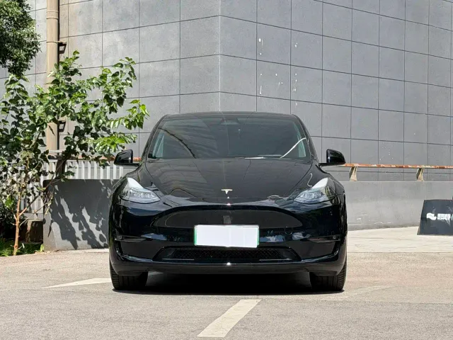 Tesla Model Y — Фото автомобиля 2