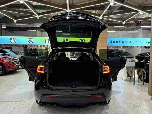 Tesla Model Y — Фото автомобиля 6
