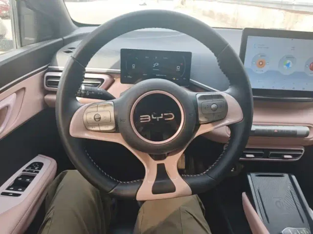 BYD Seagull — Фото автомобиля 10