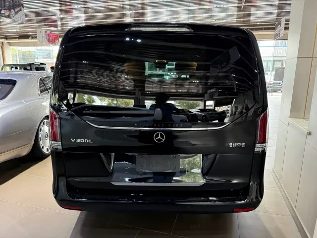 Mercedes-Benz V-Class — Фото автомобиля 12