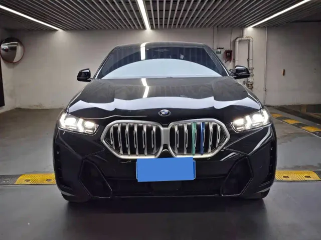 BMW X6 — Фото автомобиля 2