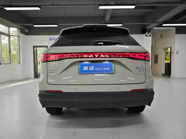 Haval Xiaolong MAX — Фото автомобиля 13