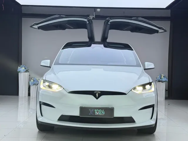 Tesla Model X — Фото автомобиля 2