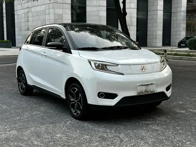 Electric House YOUNG Guang Xiaoxin — Фото автомобиля 3