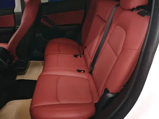 Tesla Model Y — Фото автомобиля 16