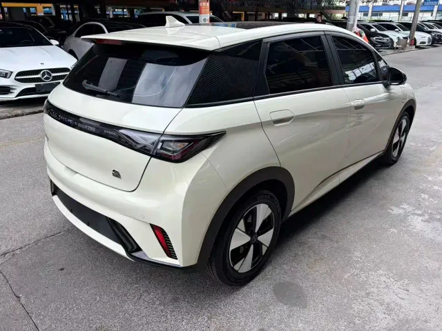 BYD Dolphin — Фото автомобиля 11