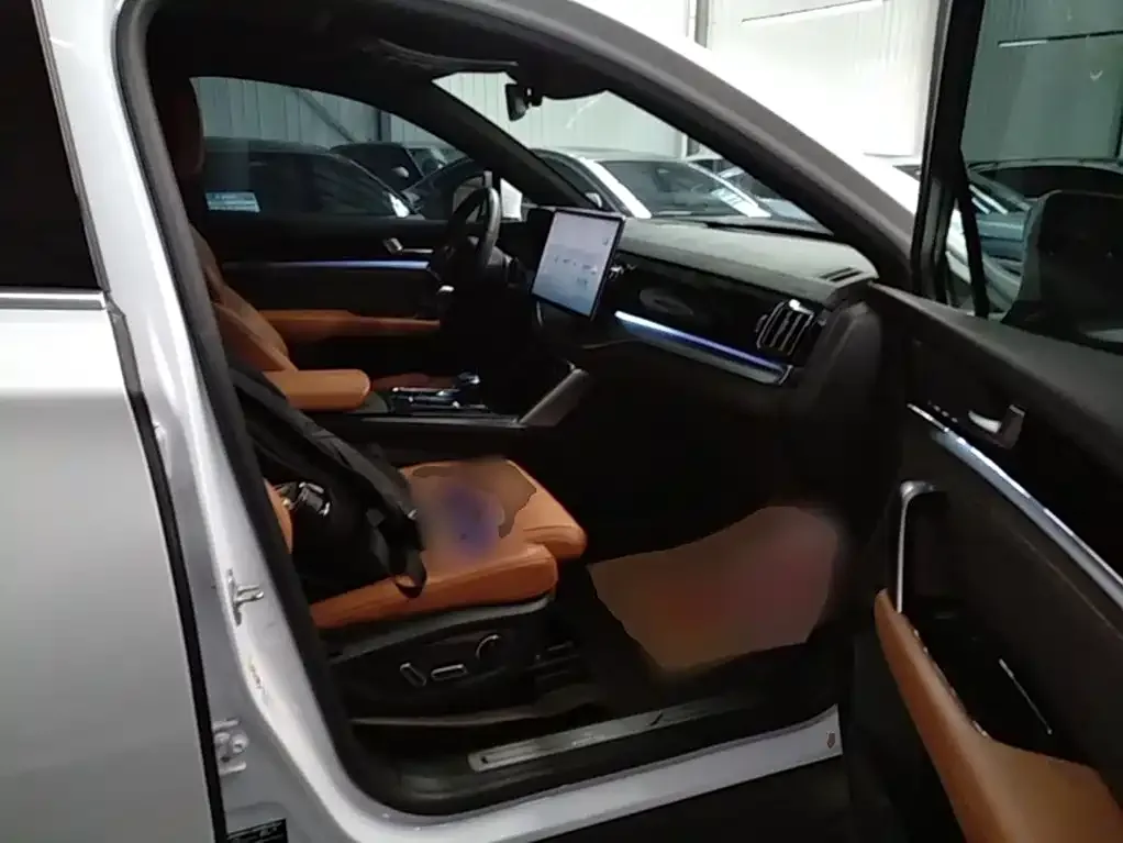 BYD Tang New Energy 2023 Model DM-i Champion Edition 112KM Premium — Фото автомобиля 24
