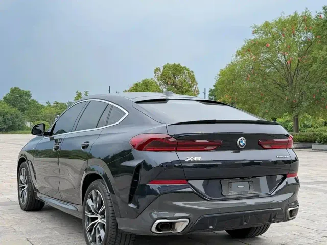 BMW BMW X6 2023 xDrive30i M Sport Package — Фото автомобиля 7