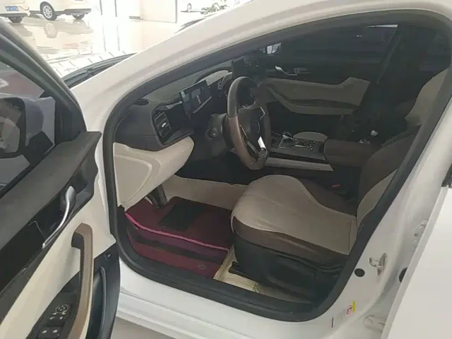 BYD Qin PLUS — Фото автомобиля 15