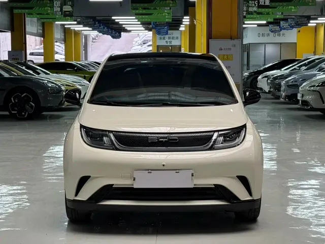 BYD Dolphin — Фото автомобиля 2