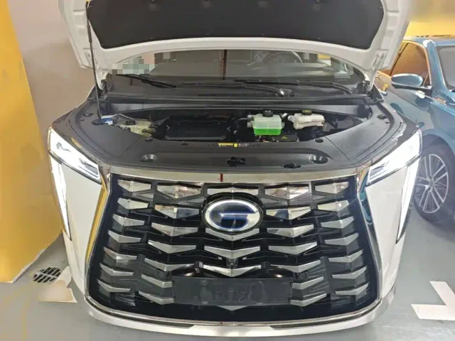 GAC Trumpchi Xiangwang M8 — Фото автомобиля 19