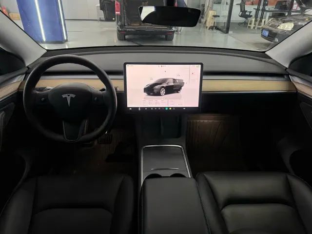 Tesla Model Y — Фото автомобиля 10