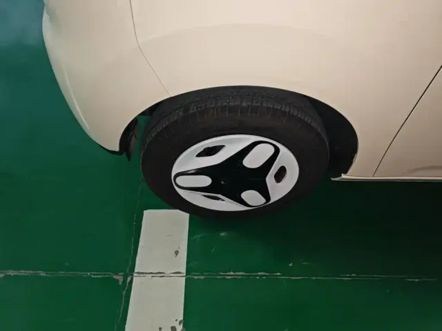 Geely Galaxy Panda 2025 Panda mini 210km Vitality Bear — Фото автомобиля 24