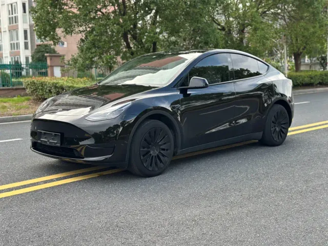 Tesla Model Y — Фото автомобиля 2