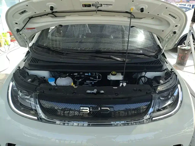 BYD Dolphin — Фото автомобиля 19
