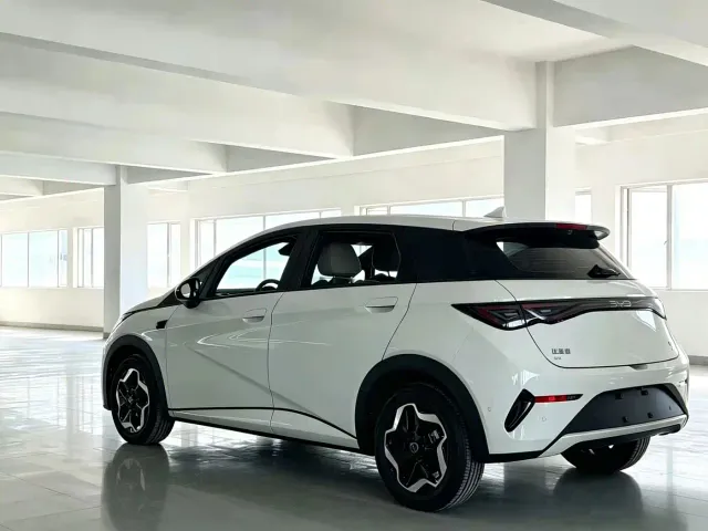 BYD Dolphin — Фото автомобиля 4