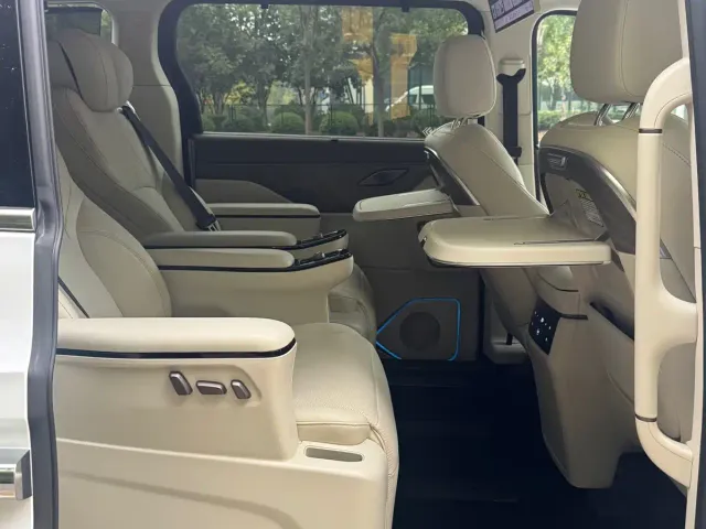 Wey Alpine — Фото автомобиля 14