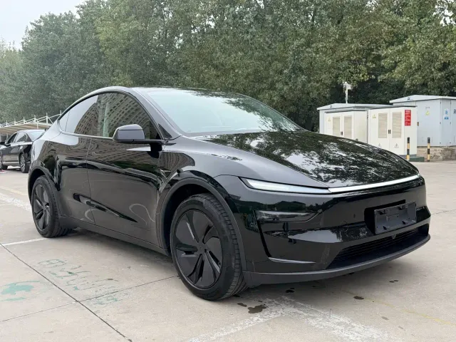 Tesla Model Y — Фото автомобиля 3