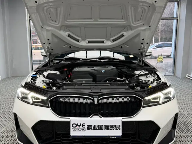 BMW 3 Series — Фото автомобиля 9