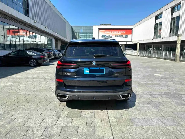 BMW X5 — Фото автомобиля 8