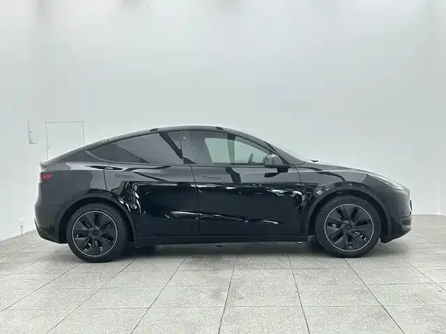 Tesla Model Y — Фото автомобиля 7