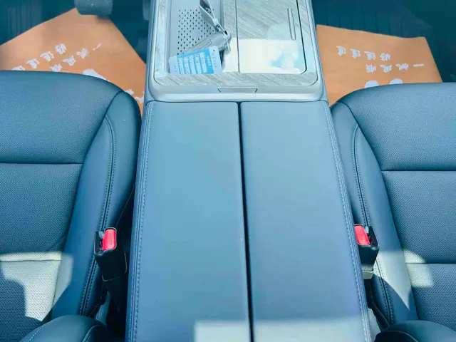 Wey Alpine — Фото автомобиля 15