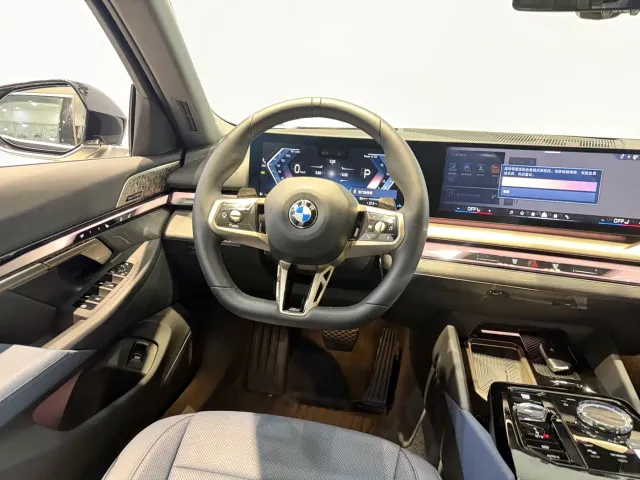 BMW 5 Series — Фото автомобиля 8